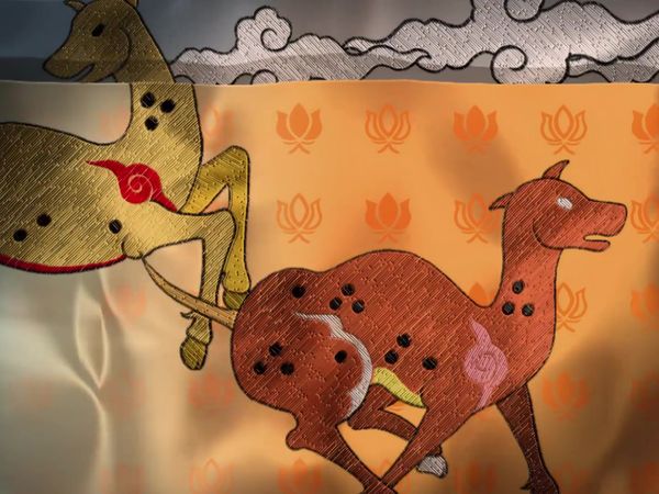 Wild Asia - In The Realm Of The Red Ape