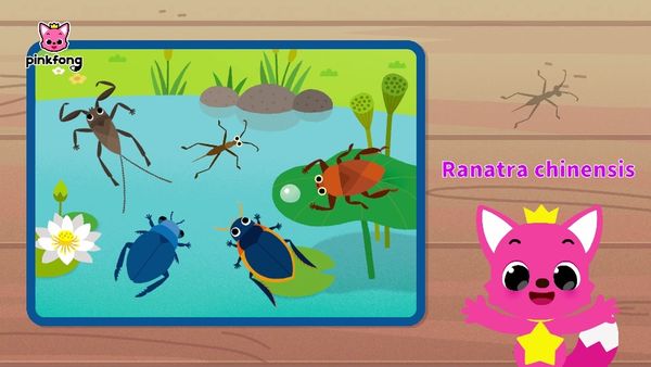 Al escondite con Pinkfong - Juguemos al escondite con Pinkfong insecto 3
