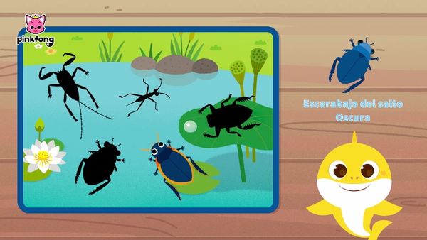 Al escondite con tiburón bebé - Juguemos al escondite con tiburón bebé insecto 2