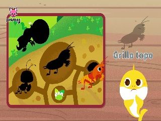 Al escondite con tiburón bebé - Juguemos al escondite con tiburón bebé insecto 3