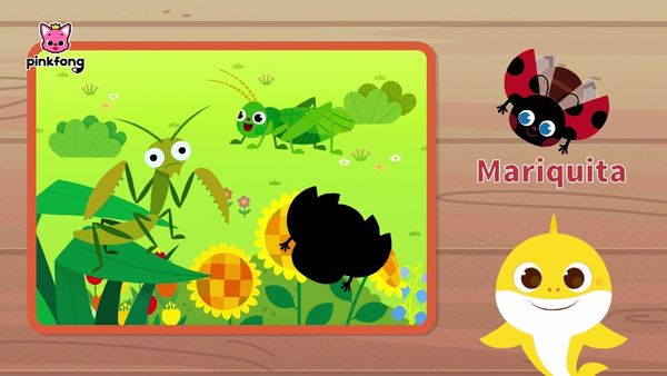 Al escondite con tiburón bebé - Juguemos al escondite con tiburón bebé insecto 4