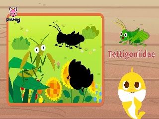 Al escondite con tiburón bebé - Juguemos al escondite con tiburón bebé insecto 1