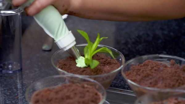 My Kitchen Rules Australia - Episode 22