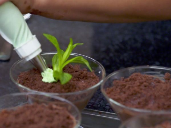 My Kitchen Rules Australia - Episode 22