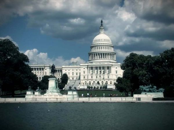 Killer Mysteries: Crime Scene Forensics - The Notorious Lobbyist