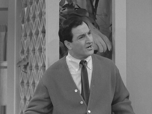 The Danny Thomas Show - The Persistent Cop