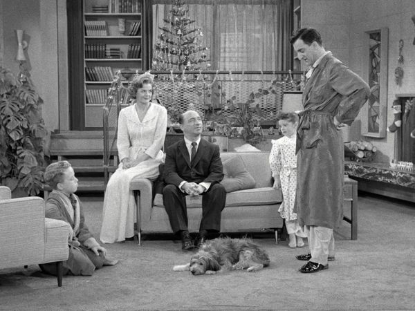 The Danny Thomas Show - Man's Best Friend