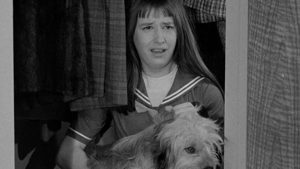 The Danny Thomas Show - Pupa's Pooch