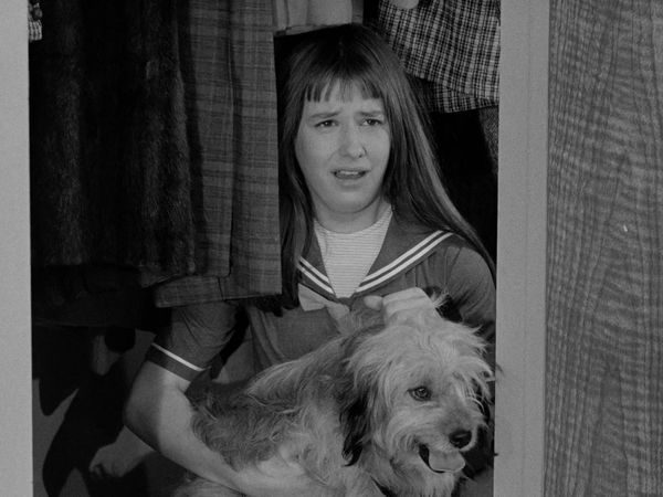 The Danny Thomas Show - Pupa's Pooch