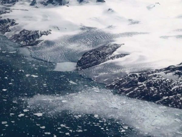 Unsealed Alien Files - Alien Earth