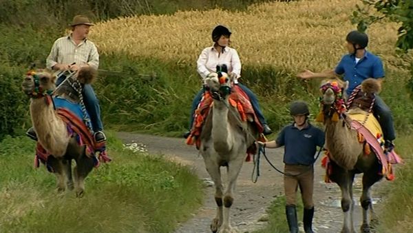 Location, Location, Location - Revisit 2: Jersey/Warwickshire