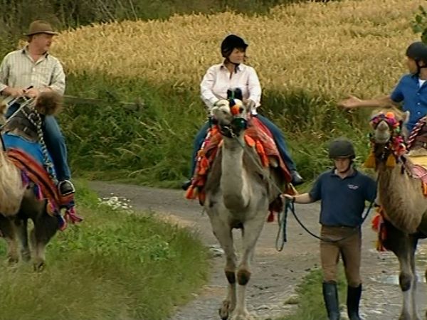 Location, Location, Location - Revisit 2: Jersey/Warwickshire