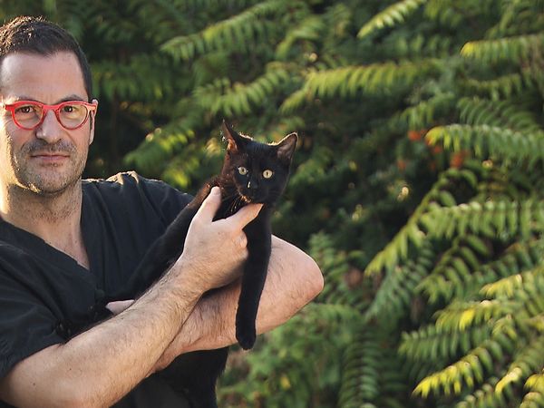 Tierarztgeschichten - Folge 5