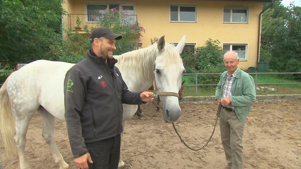 Tierarztgeschichten - Folge 22