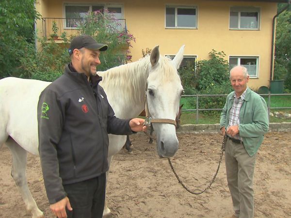 Tierarztgeschichten - Folge 22