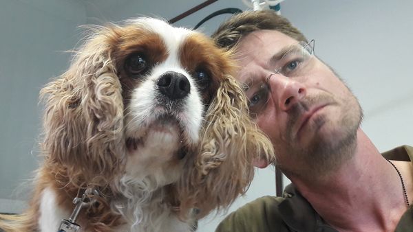 Tierarztgeschichten - Folge 8