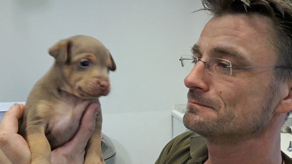 Tierarztgeschichten - Folge 12