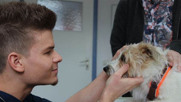 Tierarztgeschichten - Folge 28