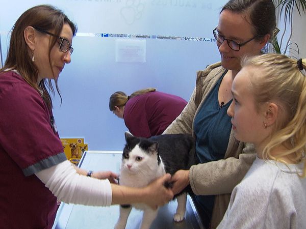 Tierarztgeschichten - Folge 43