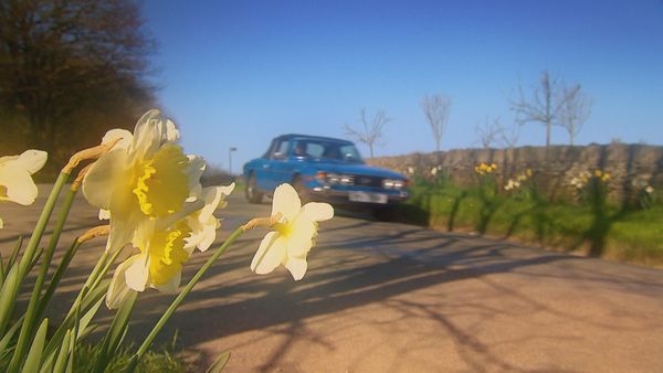 Antiques Road Trip - Phil Serrell and Arusha Irvine, Day 4