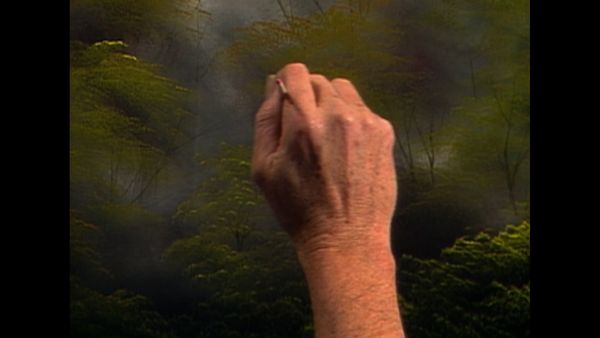 The Joy of Painting with Bob Ross - Deep Wilderness Home