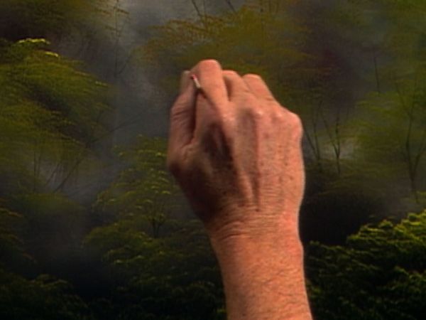 The Joy of Painting with Bob Ross - Deep Wilderness Home