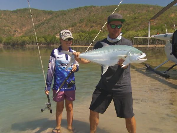IFISH - Mangrove Jack - The Kimberley, NT