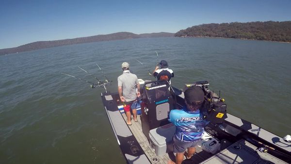 IFISH - Mulloway - Hawkesbury River, NSW