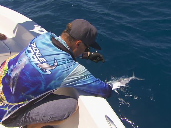 IFISH - GT's - Yeppoon, QLD