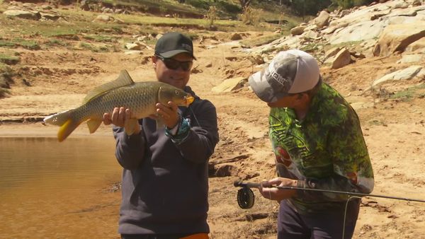 IFISH - Carp on Fly - Wyangala Dam, NSW