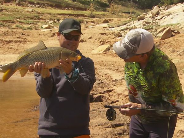 IFISH - Carp on Fly - Wyangala Dam, NSW
