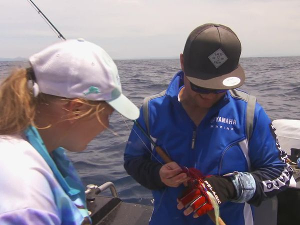 IFISH - Mako on Fly - St Helens, TAS
