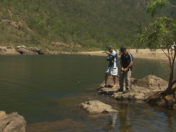 IFISH - Hinchinbrook Region, Queensland