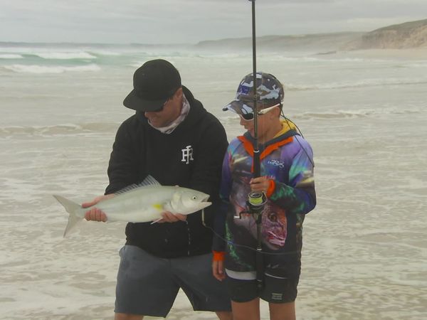 IFISH - Australian Salmon - Port Lincoln, SA