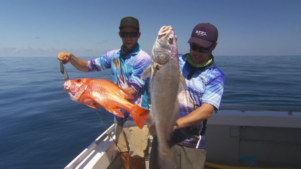 IFISH - Cullen Bay, Northern Territory