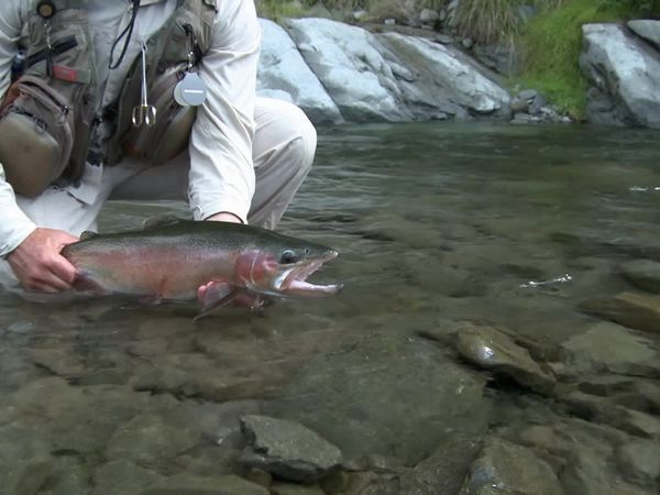Planet Fly Fish - Hatch