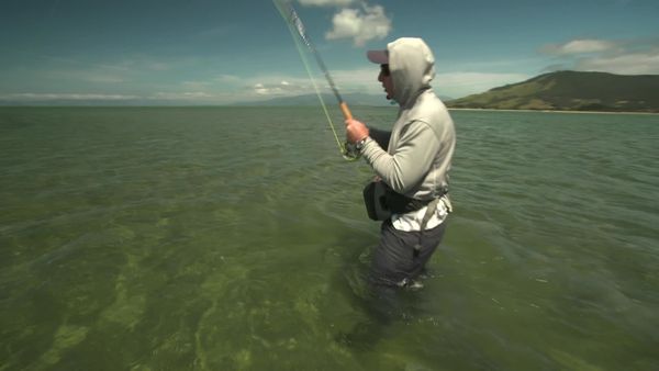 Pure Fly NZ - Golden Bay Kingfish