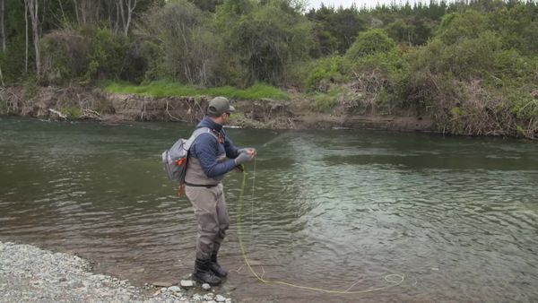 Pure Fly NZ - Tauranga Taupo