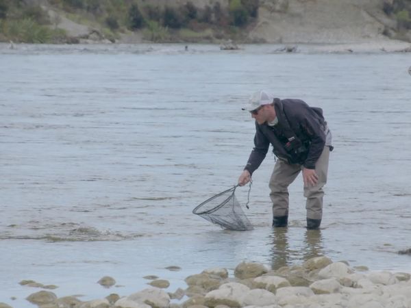 Pure Fly NZ - Opening Weekend