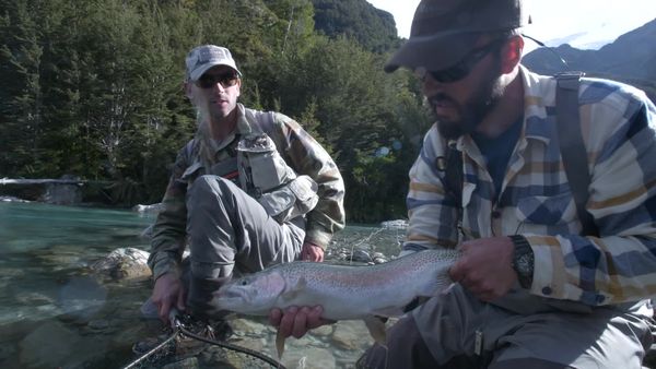 Pure Fly NZ - Autumn Chromers