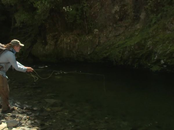 Pure Fly NZ - Kahurangi Gold