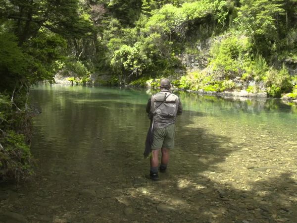 Pure Fly NZ - Backcountry Kaimanawas