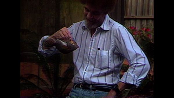 The Joy of Painting with Bob Ross - Back Country Path