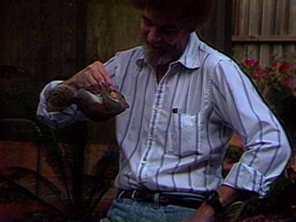 The Joy of Painting with Bob Ross - Back Country Path