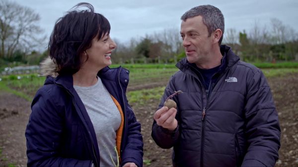 Grow, Cook, Eat - The Potato