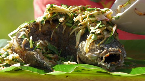 Duncan's Thai Kitchen - Forest Haven