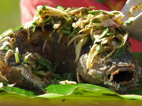 Duncan's Thai Kitchen - Forest Haven