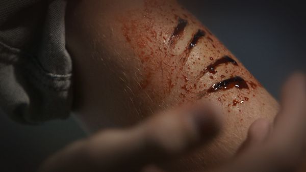 A Haunting - Curse Of The Mummy