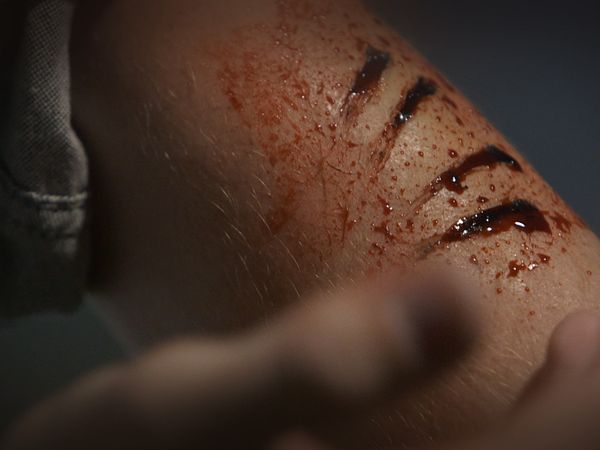A Haunting - Curse Of The Mummy