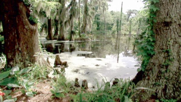 A Haunting - A Haunting in Florida
